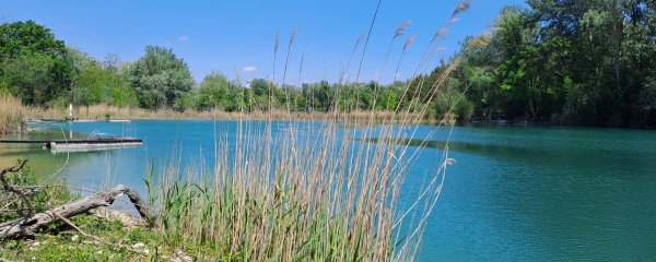 10.05.2026 - IPA Wagram - Donauauwanderung